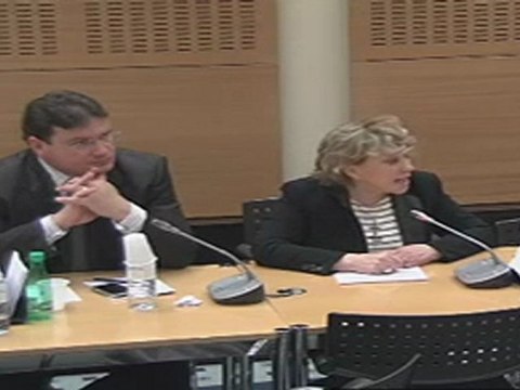 Commission des lois : intervention de Maryse Joissains Masini