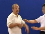 shi chongying - taiji fighting pushing hands