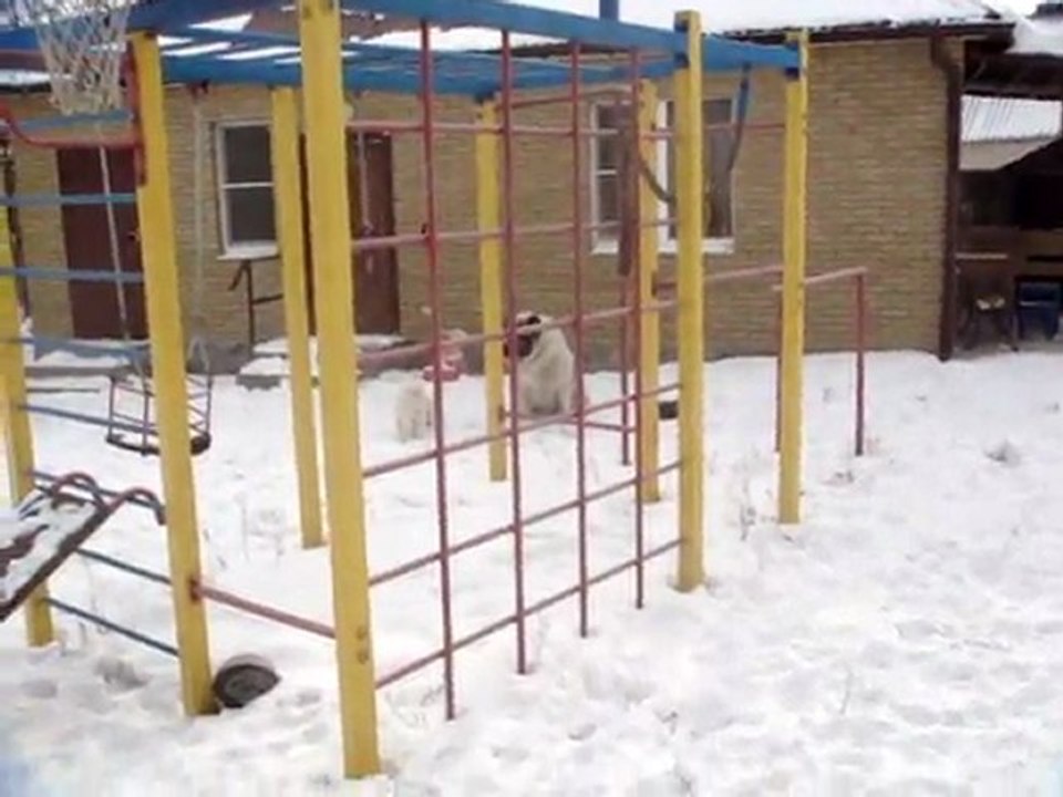 MOV00591