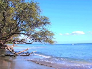 Aloha From Maui - "Exploring Olowalu Beach"