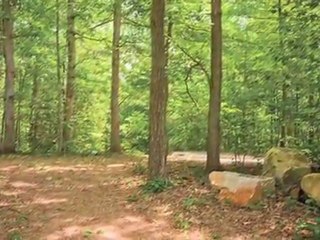 Springwoods at Lake Ridge Apartments in Woodbridge, VA ...