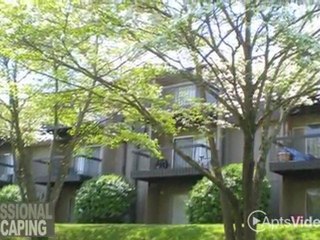 Kingston Pointe Apartments in Knoxville, TN - ForRent.com