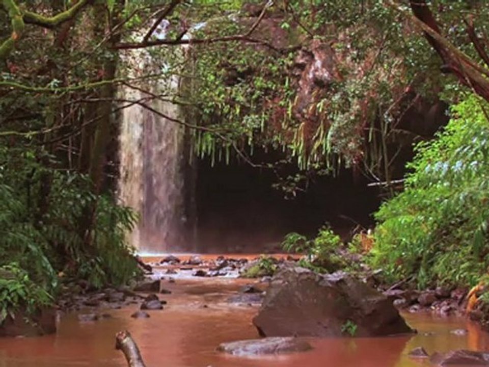 Aloha From Maui - "Discovering A Waterfall in Twin Falls"