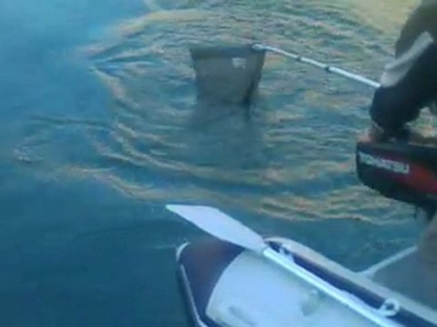 MALATYA ALABALIK AVI