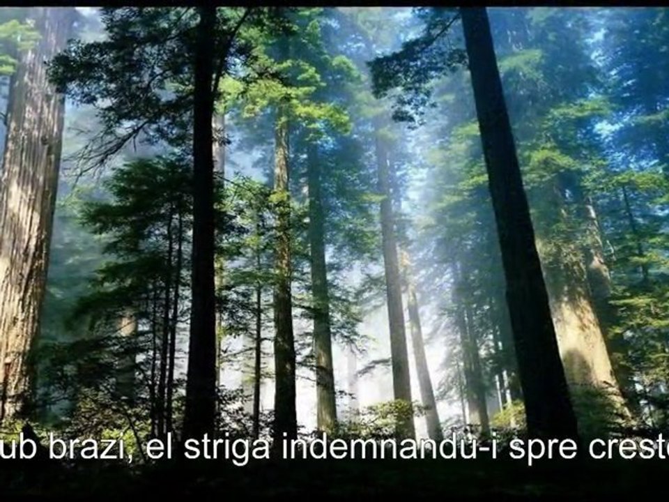 Mistretul cu colti de argint - YouTube