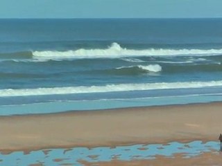 Lundi 20 Février - Surf report vidéo 11H30