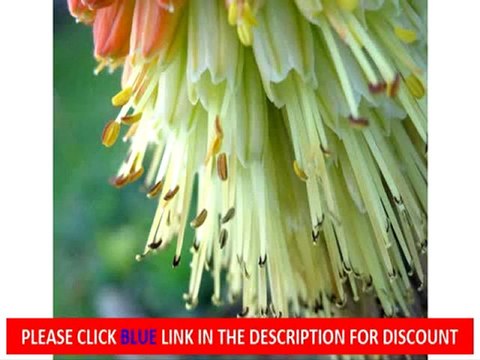 Sony Cyber-shot DSC-HX9V 16.2 MP Exmor R CMOS Sale | Sony Cyber-shot DSC-HX9V 16.2 MP