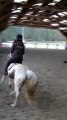 video uxi pas/trot/galop