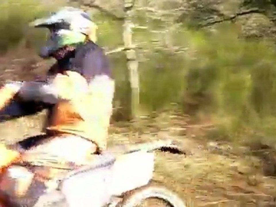 LES ENFREINS 2012