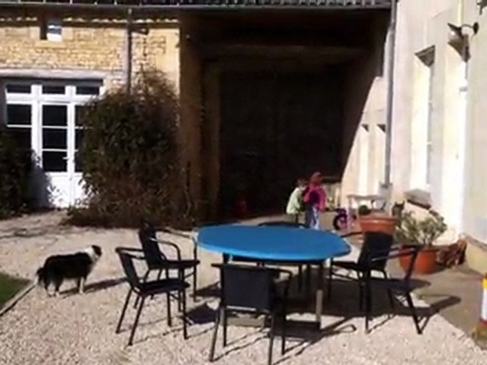 Sans Titre