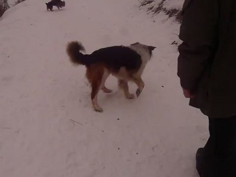 Ballade avec Chuna et son copain de vacances Charlis