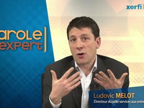 Xerfi Canal Ludovic Melot Audit et comptabilité : la grande percée des réseaux