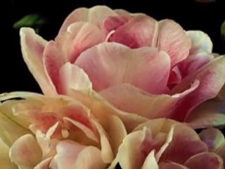 BANA SENİ GEREK_YUNUS EMRE-YURDAGÜL ÖZAY