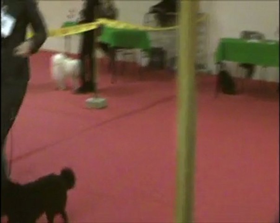 bourges 2012