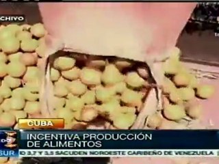 Cuba busca sustiuir importaciones de alimentos