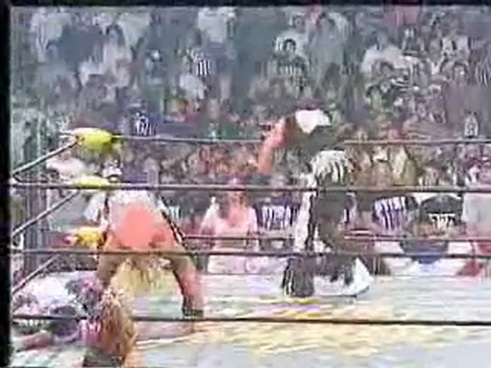 'Macho Man' Randy Savage vs Diamond Dallas Page