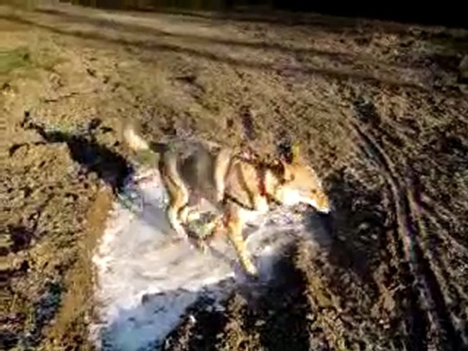 Vidéo0085