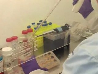 CRUK | Research and trials | Childhood leukaemia: research to improve treatment