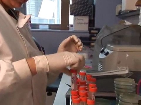 CRUK | Research and trials | Breast cancer: research to help beat the disease