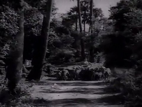 Ponna Chettu Matuna(Lakshmi Katakshyam)