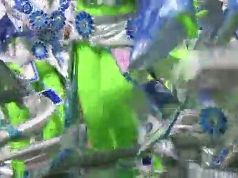 Rio's riotous carnival reaches dazzling highpoint