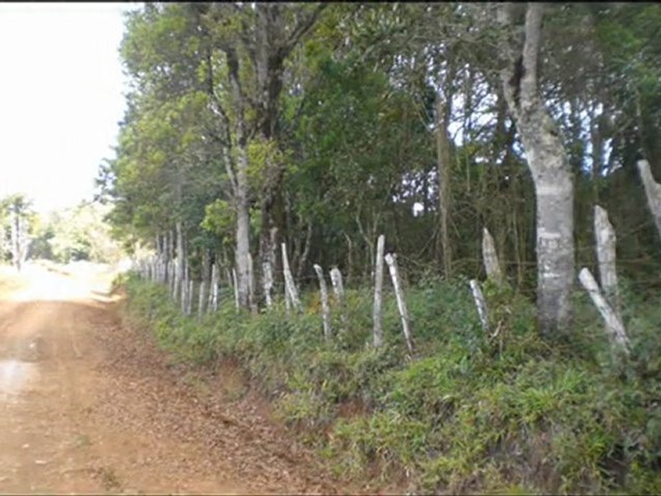 Venta de Terreno de 13 Manzanas en Intibucá