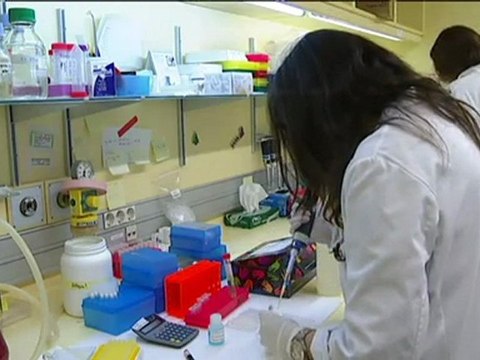 TV3 - Telenotícies - Avenç en els tumors cerebrals més agressius