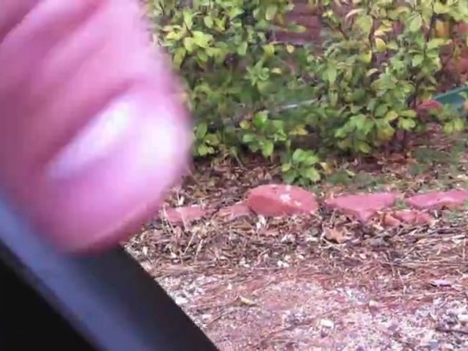 Emotion Neo Xtrem Electric Mountain Bike in for Review ...