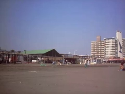 Détente à la plage d'Enoshima