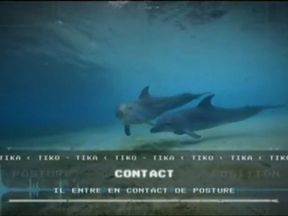 Vacarme en haute mer - Grandeurs nature