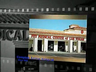 Animal Hospital Las Vegas