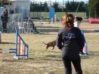 Fabulous - Jumping Eurocopter 19-02-12