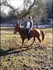 djézi pin up 3éme seance montée