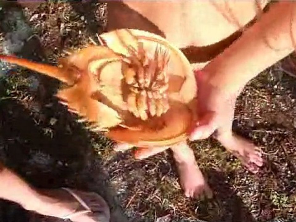 CANCUN2