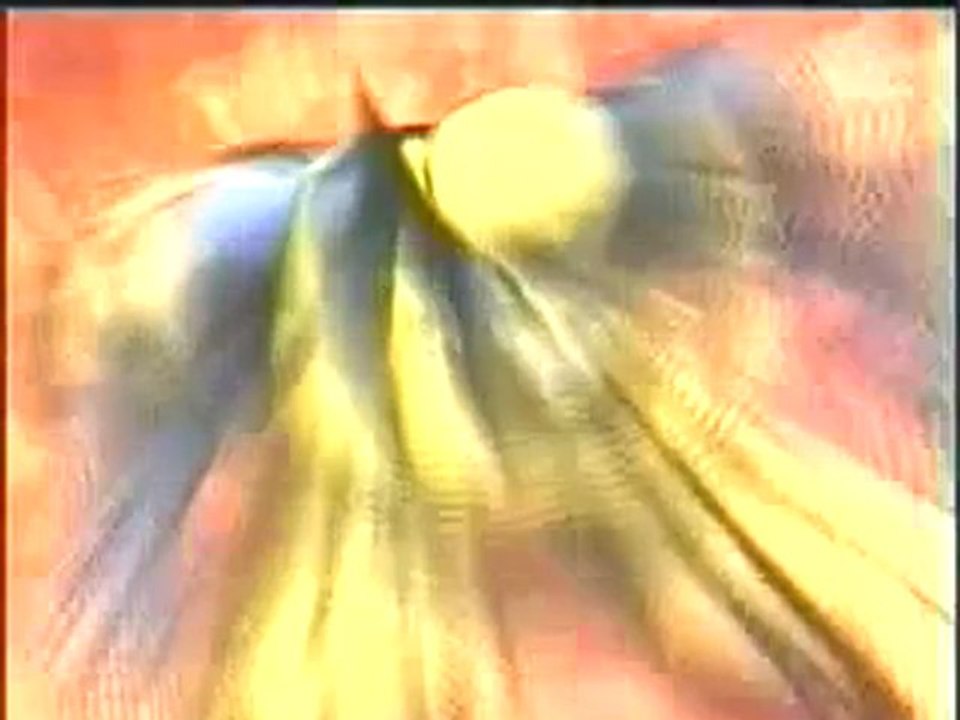 Entombed - Wolverine Blues