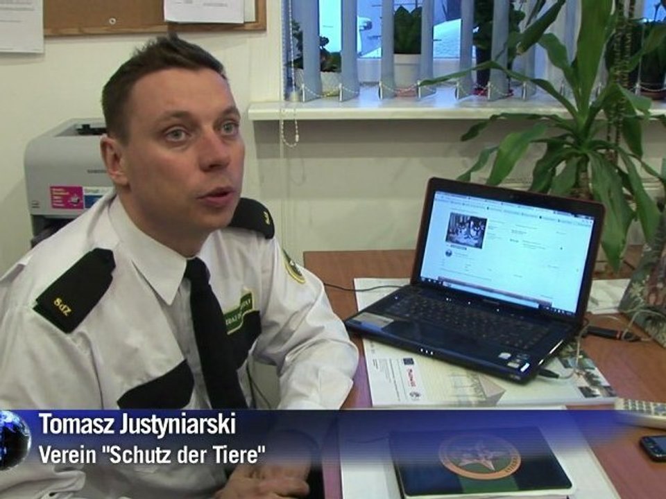 Kampf gegen illegale Hundezüchter in Polen