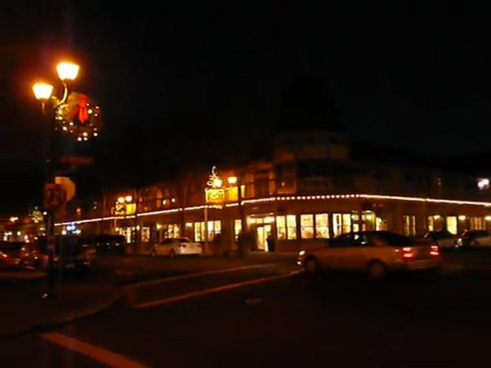 HEW YEAR 2011 022