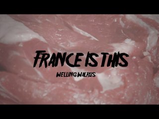 france is this - WELLING WALRUS