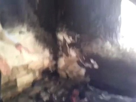 فري برس حماة اثار القصف على حي الحميدية