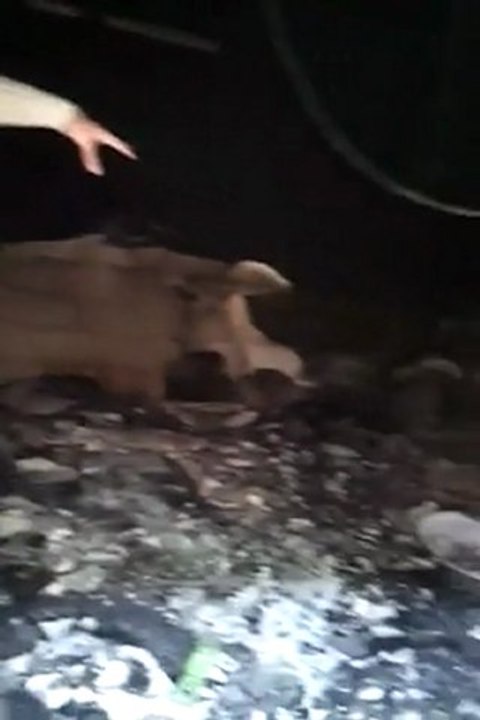 فري برس   حماة   اثار الدمار والحرق في حي الحميدية 16 2 2012