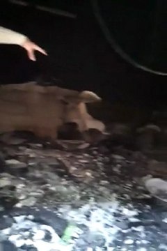 فري برس حماة اثار الدمار والحرق في حي الحميدية 16 2 2012