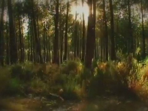 ข่าวภาคเที่ยง Voice News ประจำวันที่ 21 กุมภาพันธ์ 2555