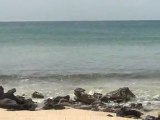Katouche bay beach in Anguilla, Caribbean Island video 3