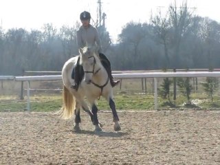 Miston et moi. Cours du 18.02.12. Haras de Lorane