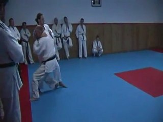 Jujitsu Rollin Philippe