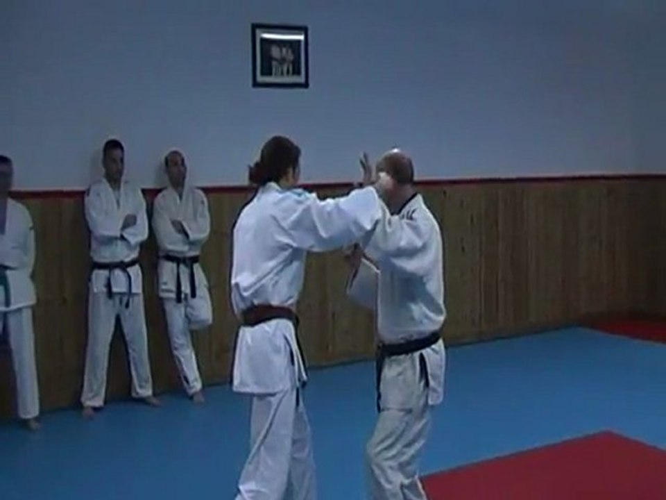 Jujitsu Rollin Philippe