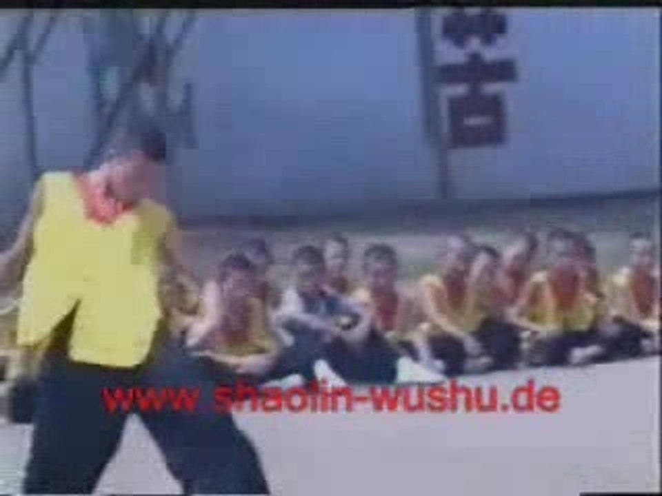 kung fu de l'homme ivre