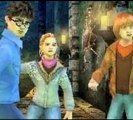 Working Harry Potter and the Deathly Hallows Part 2 NDS Rom Download 2012