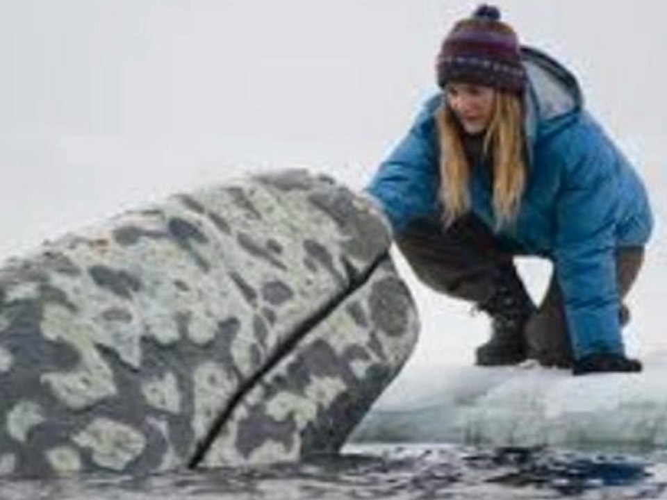Big Miracle (2012) Part 1 - 14 HD Watch Full Free Movie