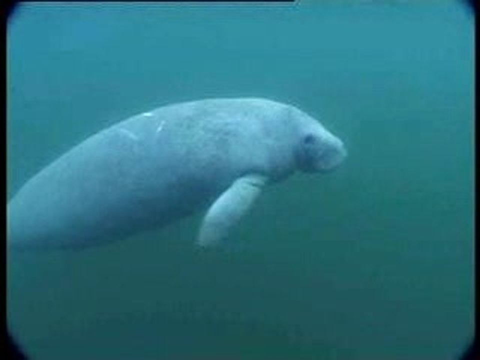 MEETING WITH A FRIEND